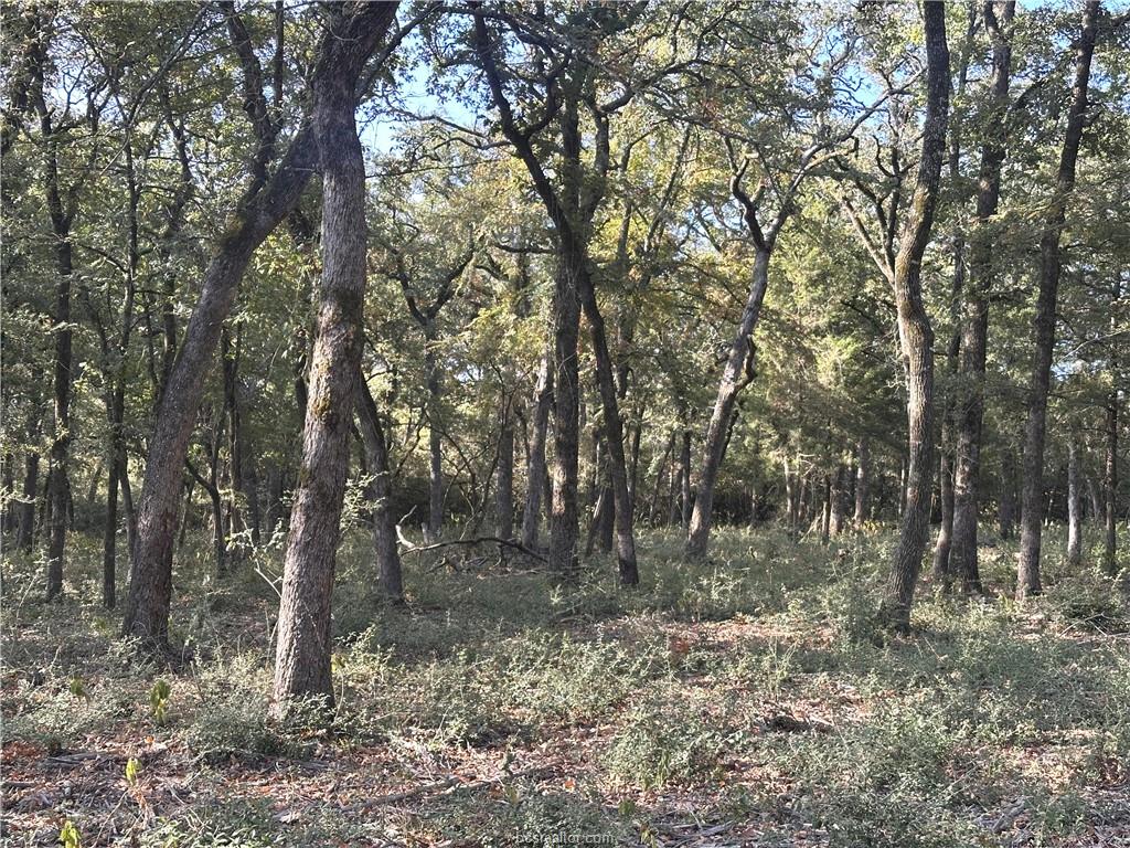 5997 County Road 308