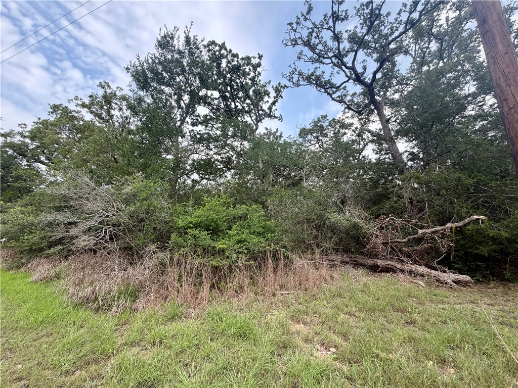 505 Deer Run Trail