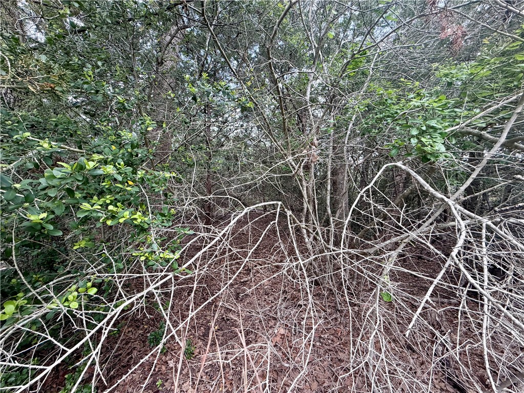 505 Deer Run Trail
