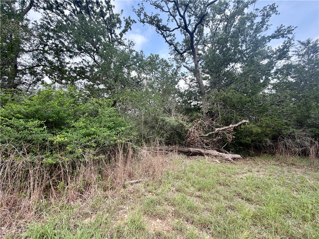 505 Deer Run Trail