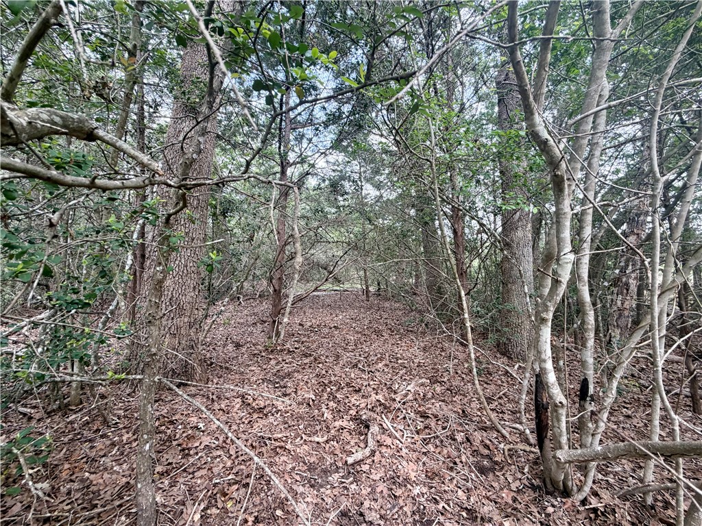 505 Deer Run Trail