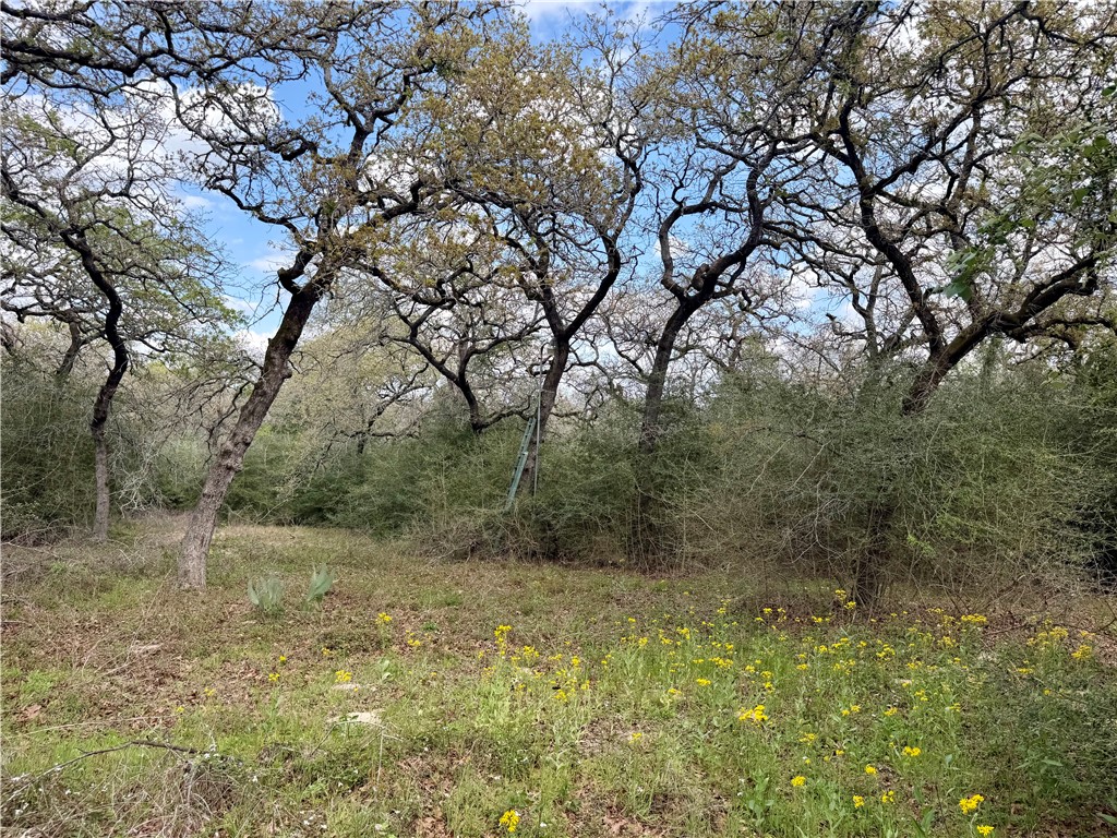 16.67 Acres Private Road 2015 Road