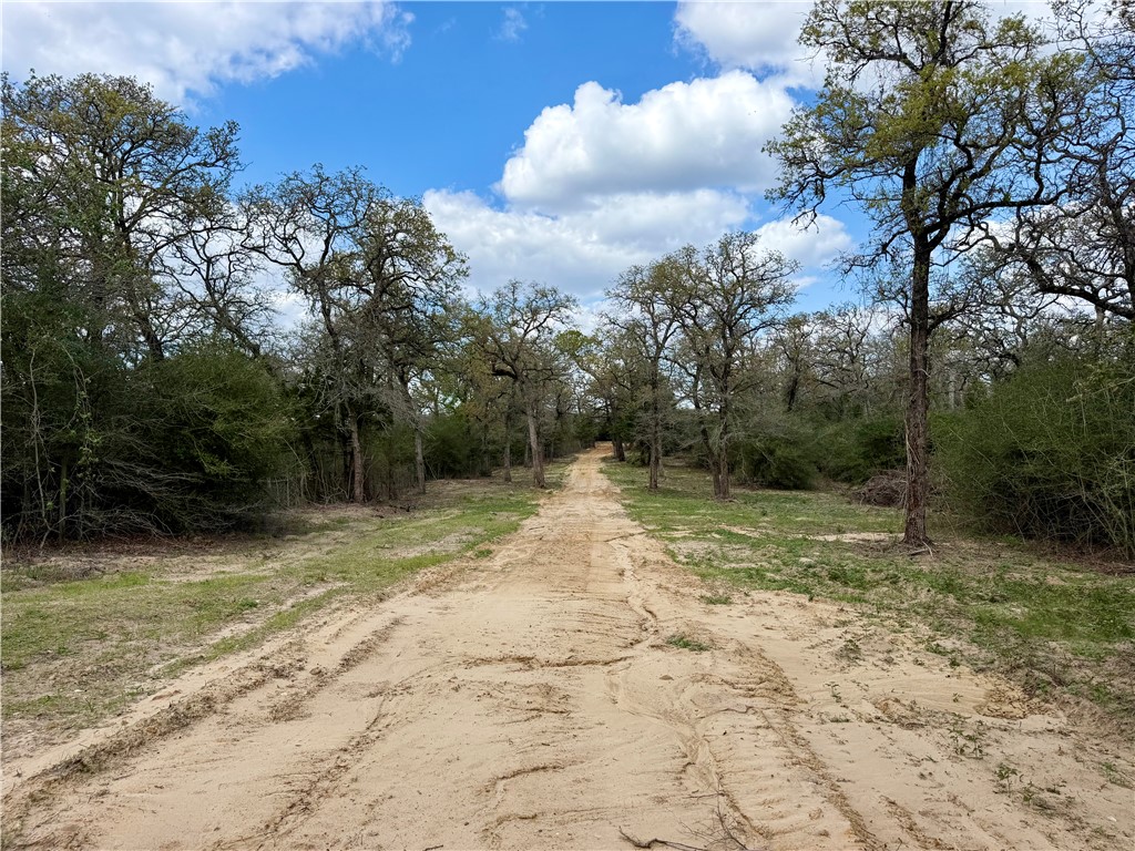 16.67 Acres Private Road 2015 Road