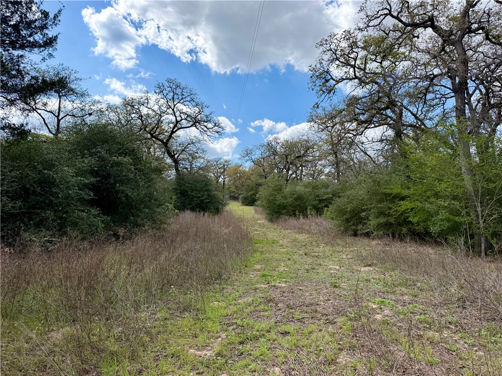 16.67 Acres Private Road 2015 Road