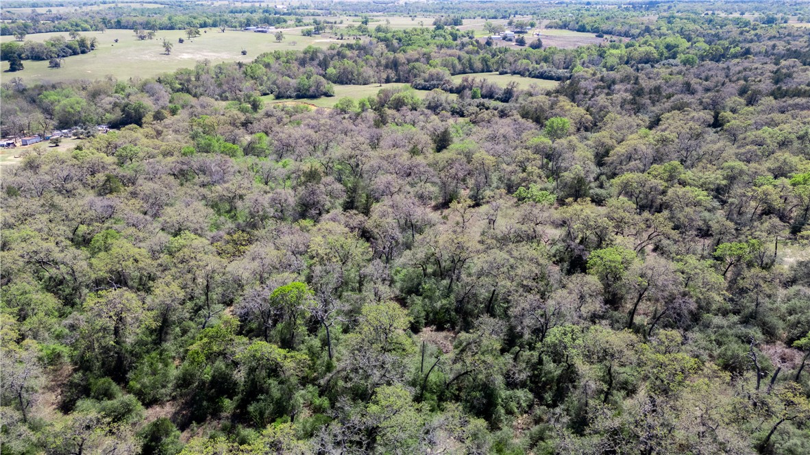 16.67 Acres Private Road 2015 Road