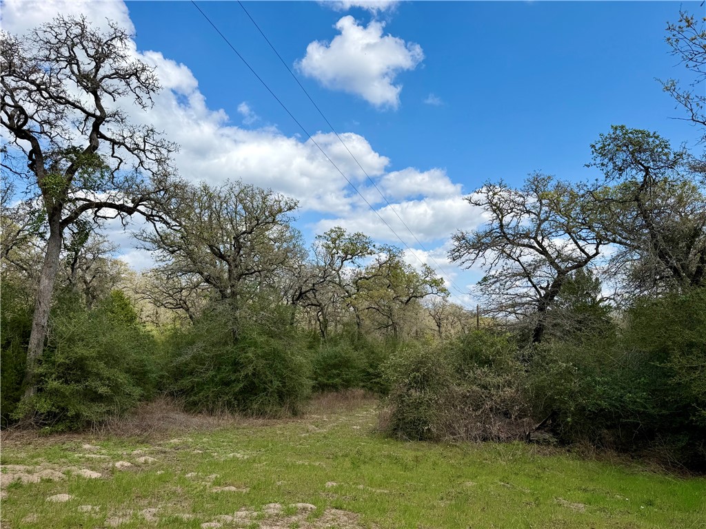 16.67 Acres Private Road 2015 Road