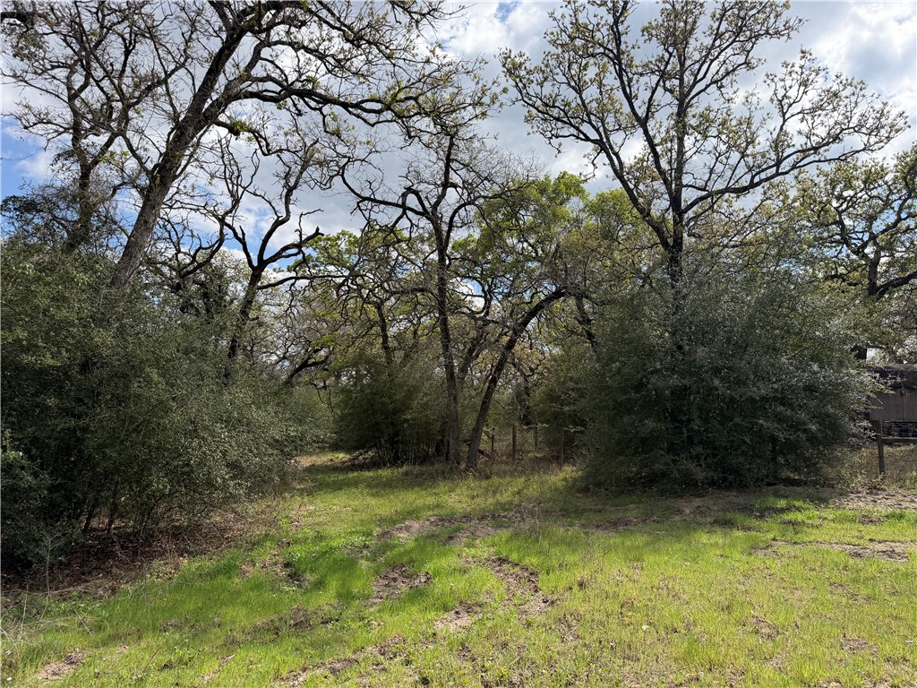 16.67 Acres Private Road 2015 Road