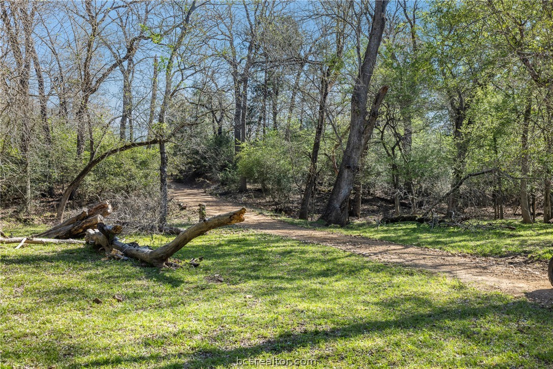 Wooded property clearing with a dirt path, grassy ground, and fallen logs.