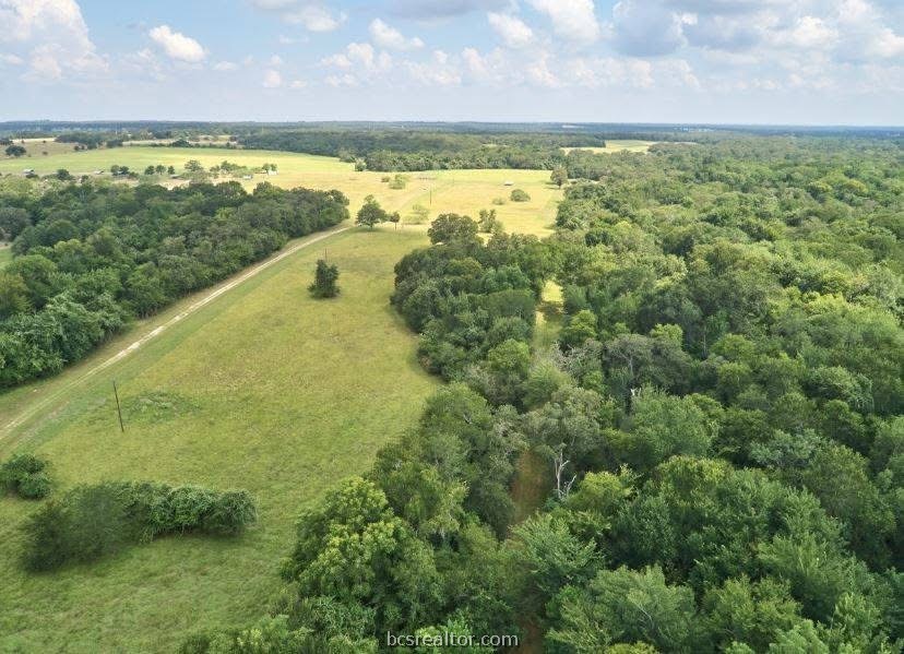 Aerial view of a grassy clearing bordered by dense woods, with a track along one side.