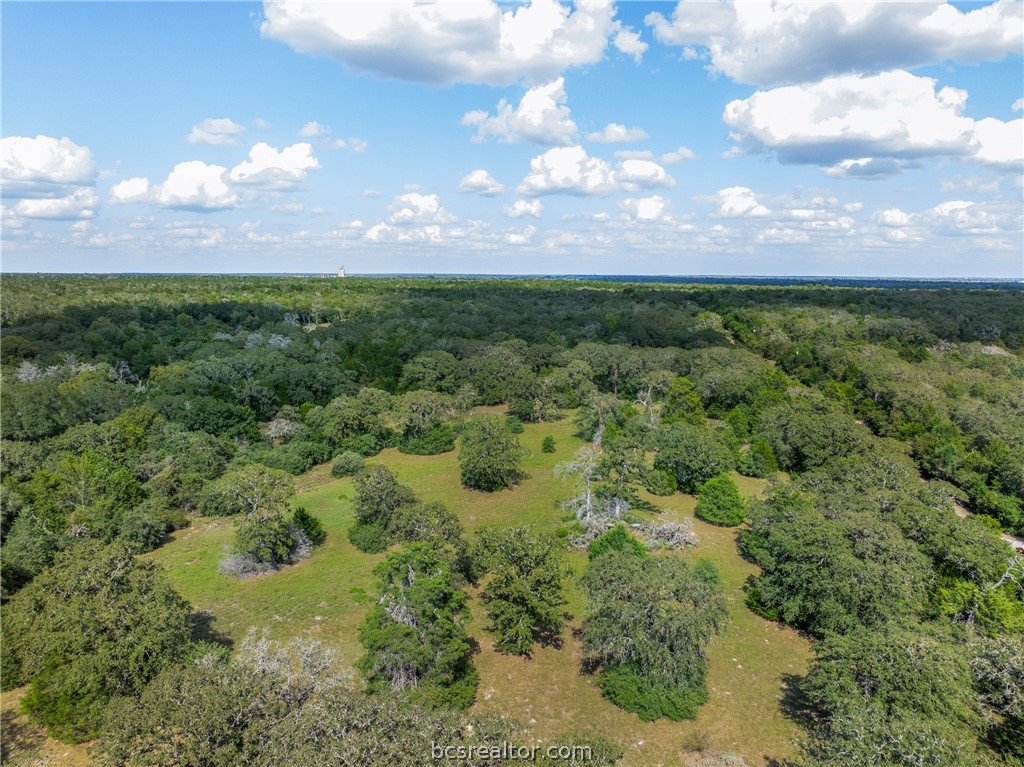 Aerial view of wooded acreage with open grassy clearings.