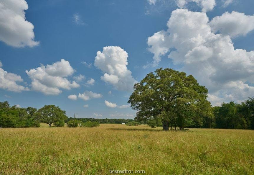 Open grassy field with mature trees beneath a cloud-filled blue sky.