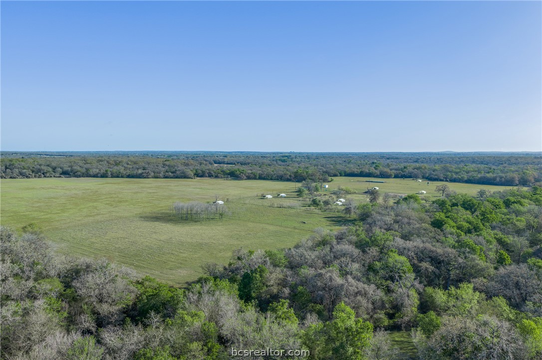 Aerial view of open pasture bordered by woodland, with scattered ranch buildings.