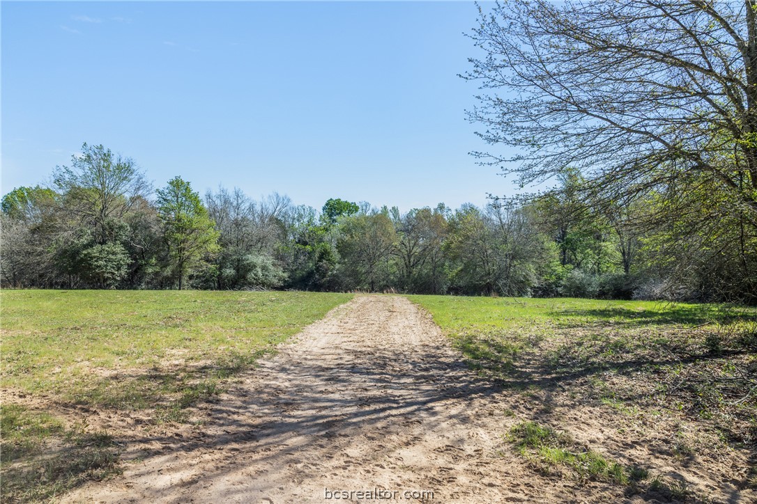 Grassy property clearing with a dirt track leading toward a tree line.