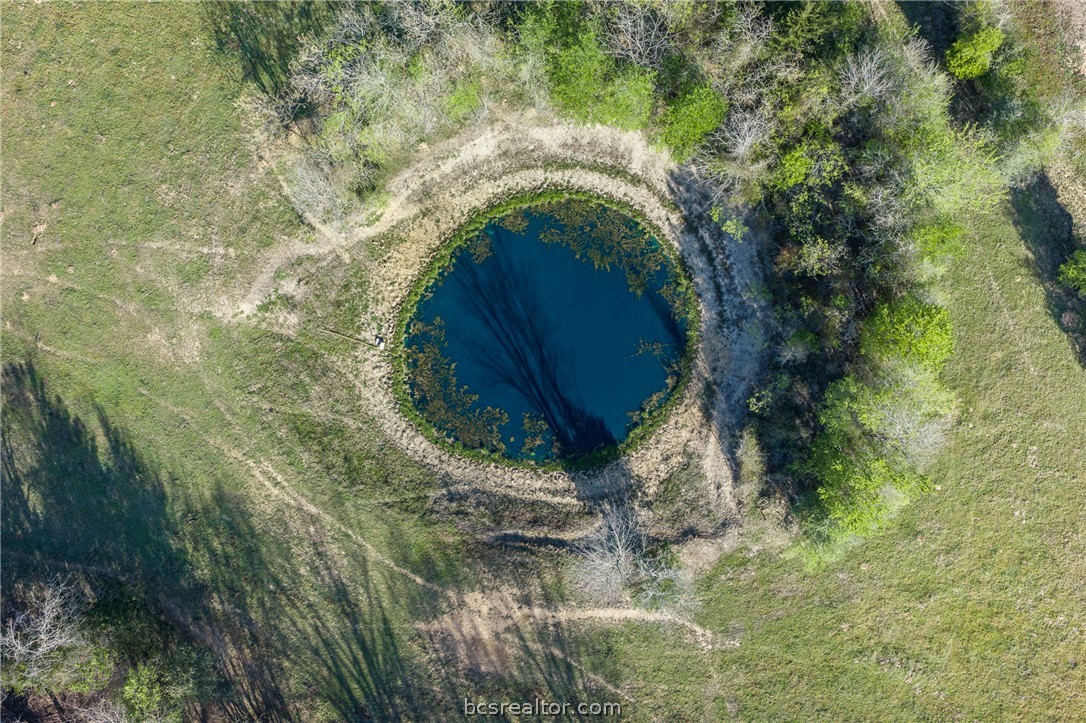 Circular pond surrounded by grassy pasture and scattered trees.