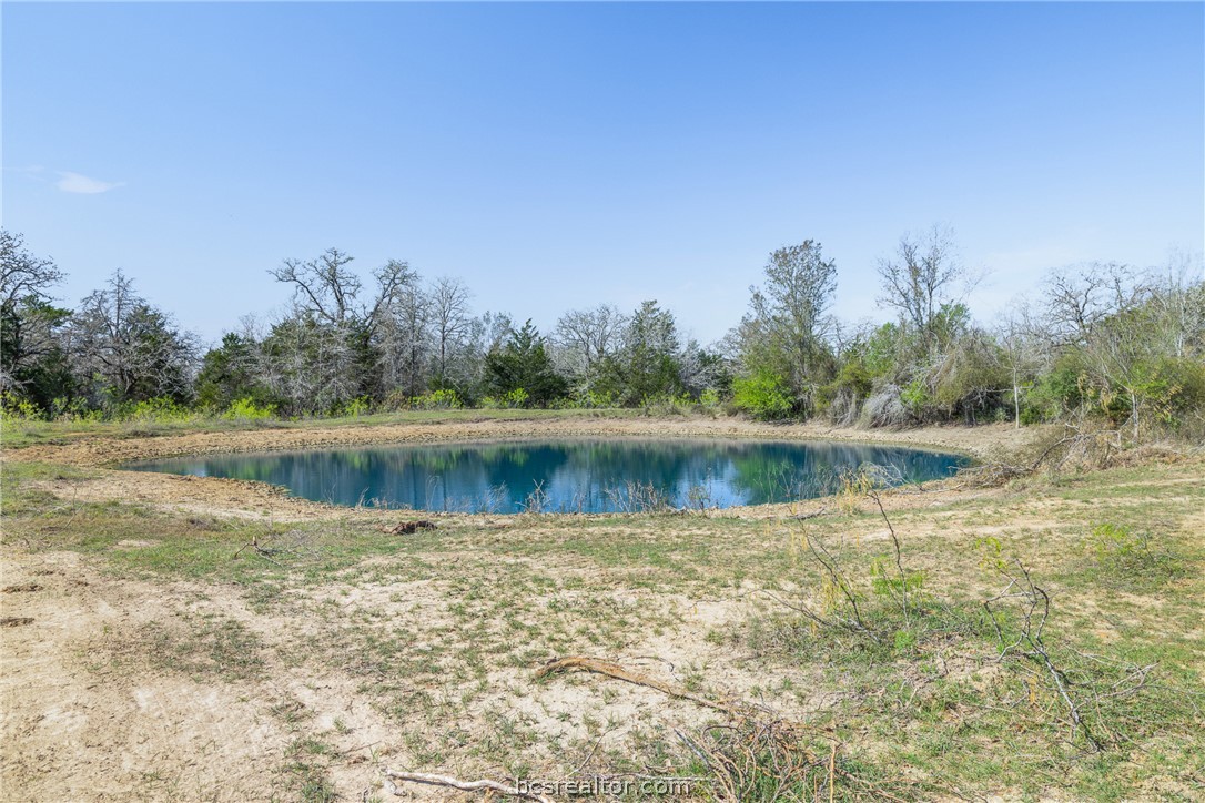 Small pond in an open clearing, bordered by sparse grass and trees.