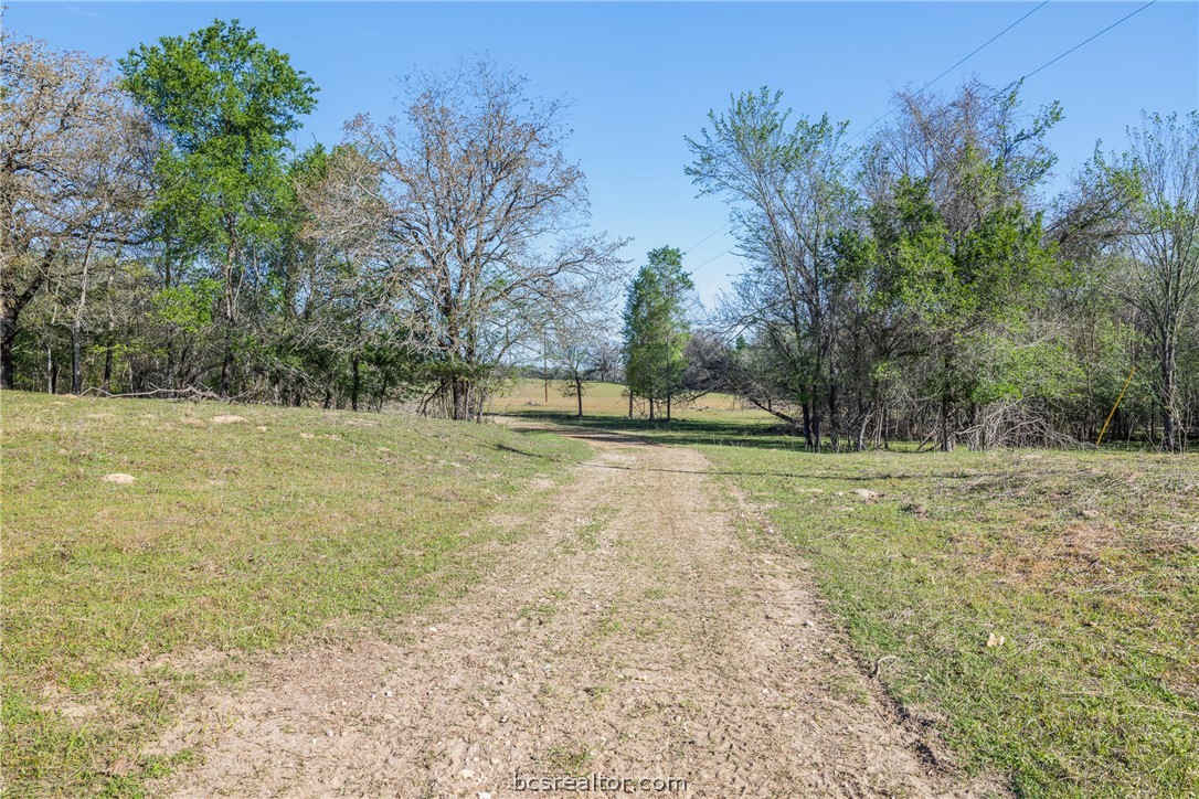 Grassy property clearing with a dirt track leading between trees toward open pasture.