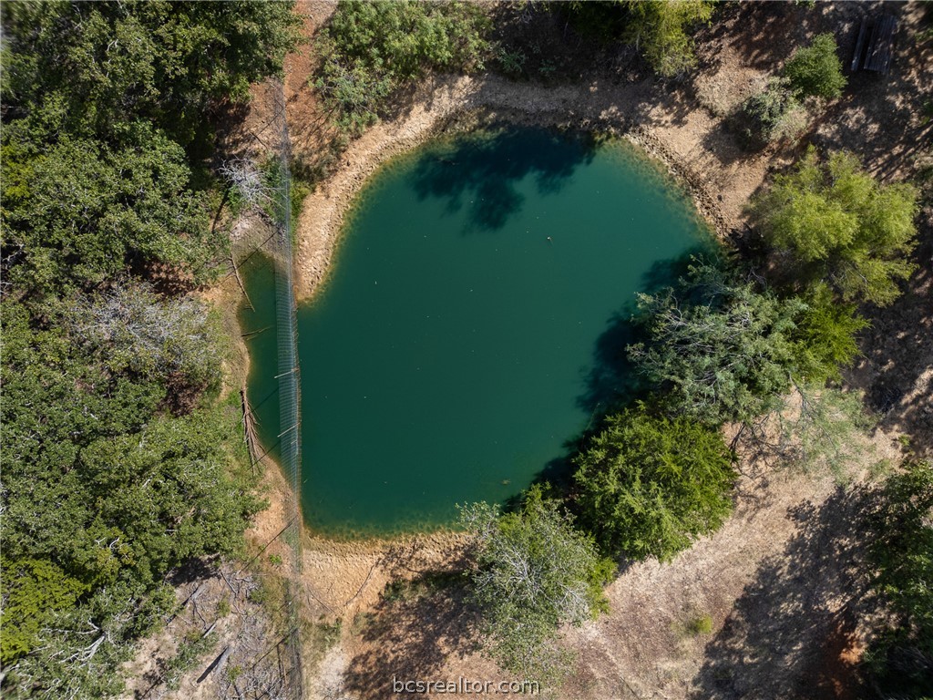 Aerial view of a green pond bordered by trees and dry ground.