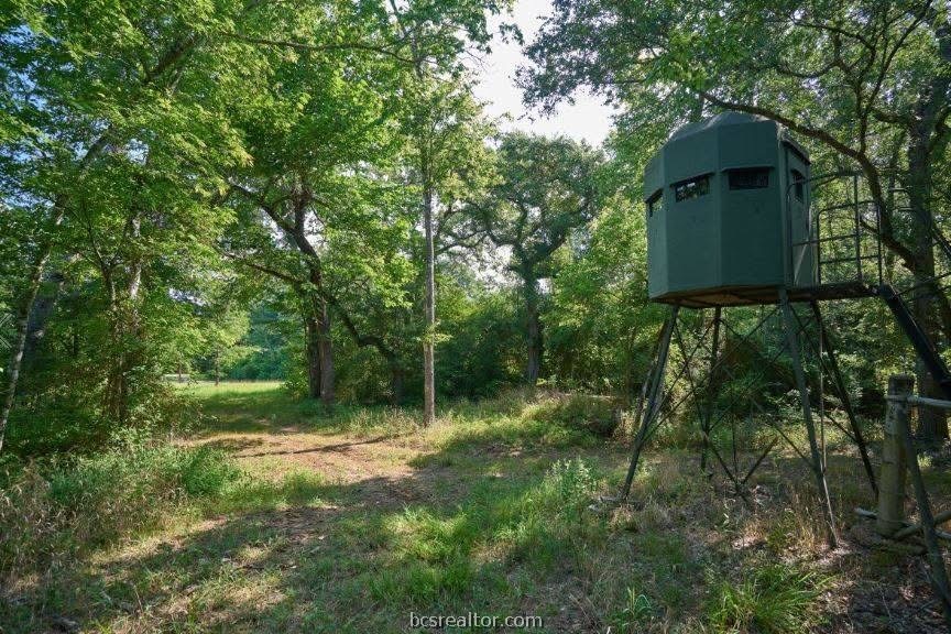 Wooded property clearing with a raised hunting blind and a dirt path beneath mature trees.