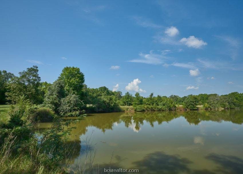 Pond bordered by leafy trees and grasses beneath a broad blue sky.