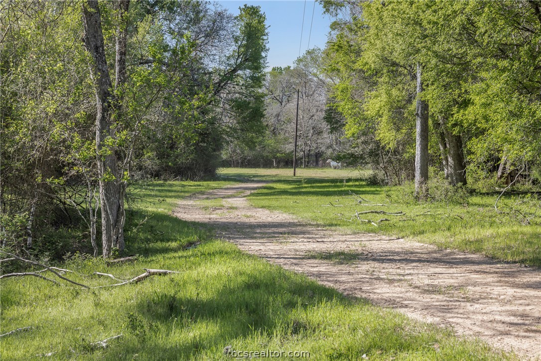 Dirt driveway through a grassy, tree-lined property with utility poles.