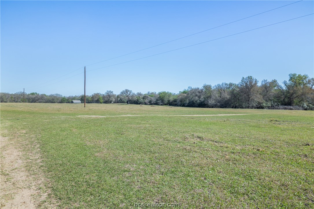 Open grassy property with utility poles, a distant shed, and a tree line.