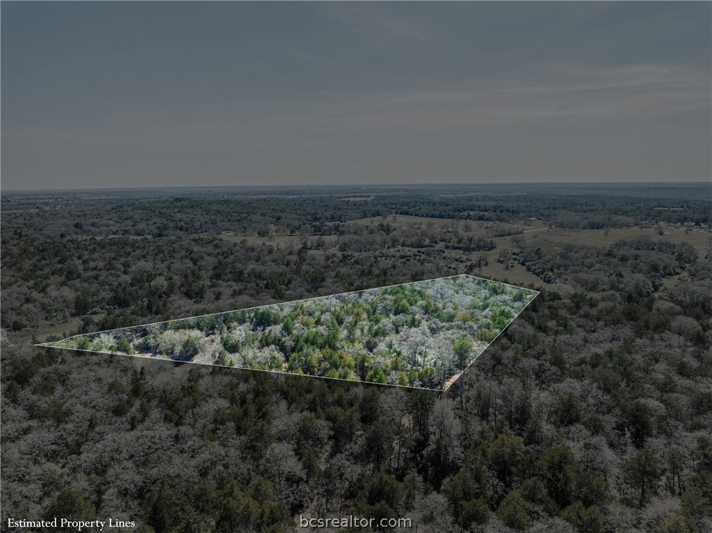 Aerial view of wooded acreage outlined to show estimated property lines.