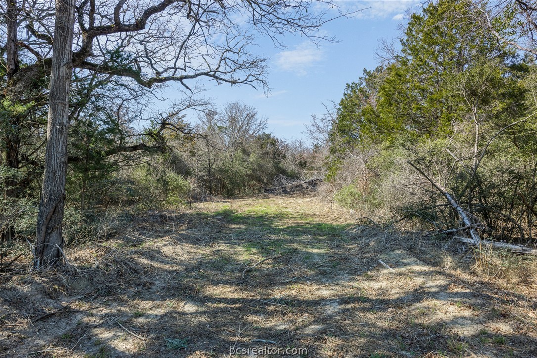 Cleared path through a wooded rural property, bordered by brush and mature trees.