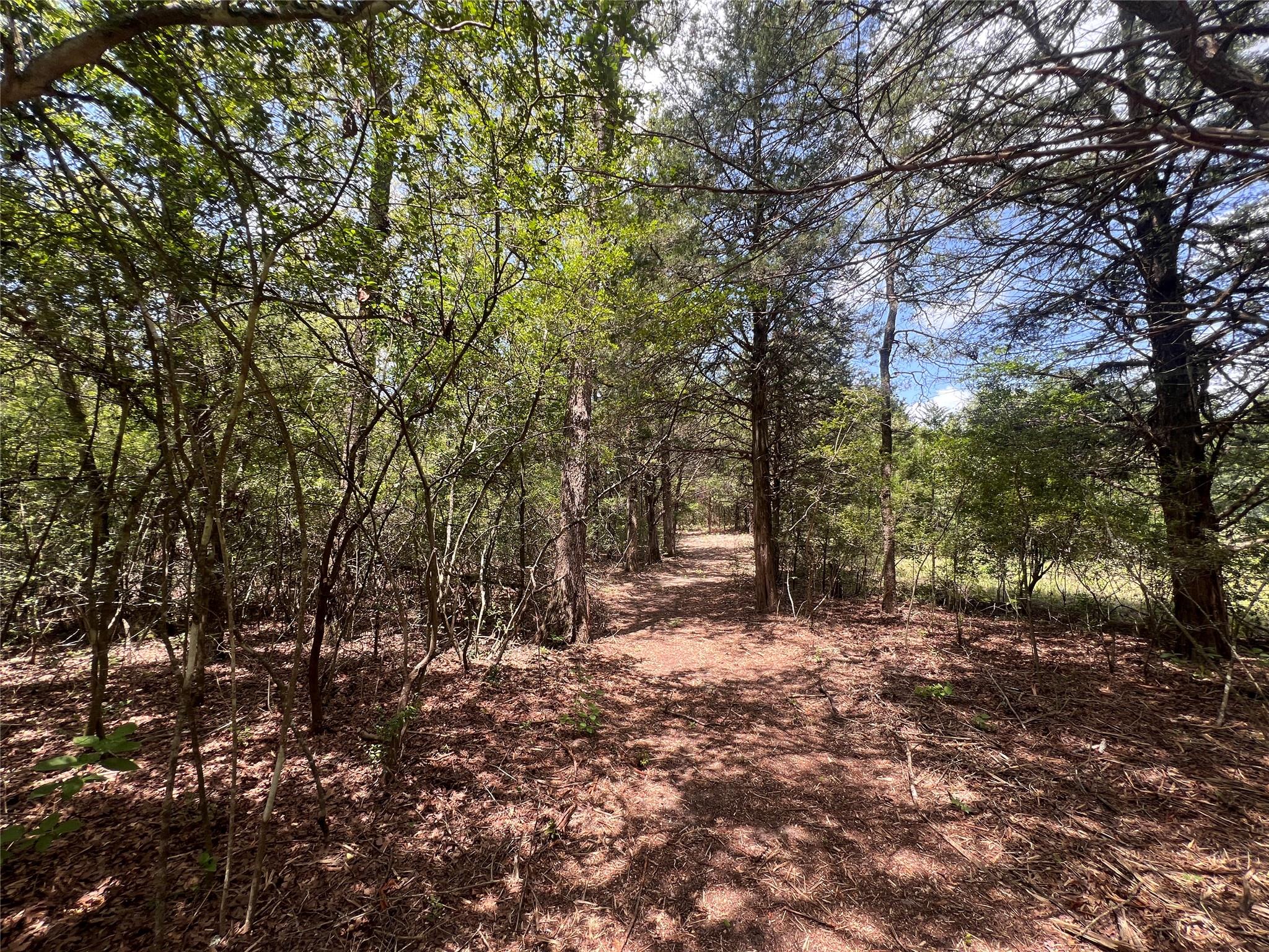 4.81 AC Pauline LN