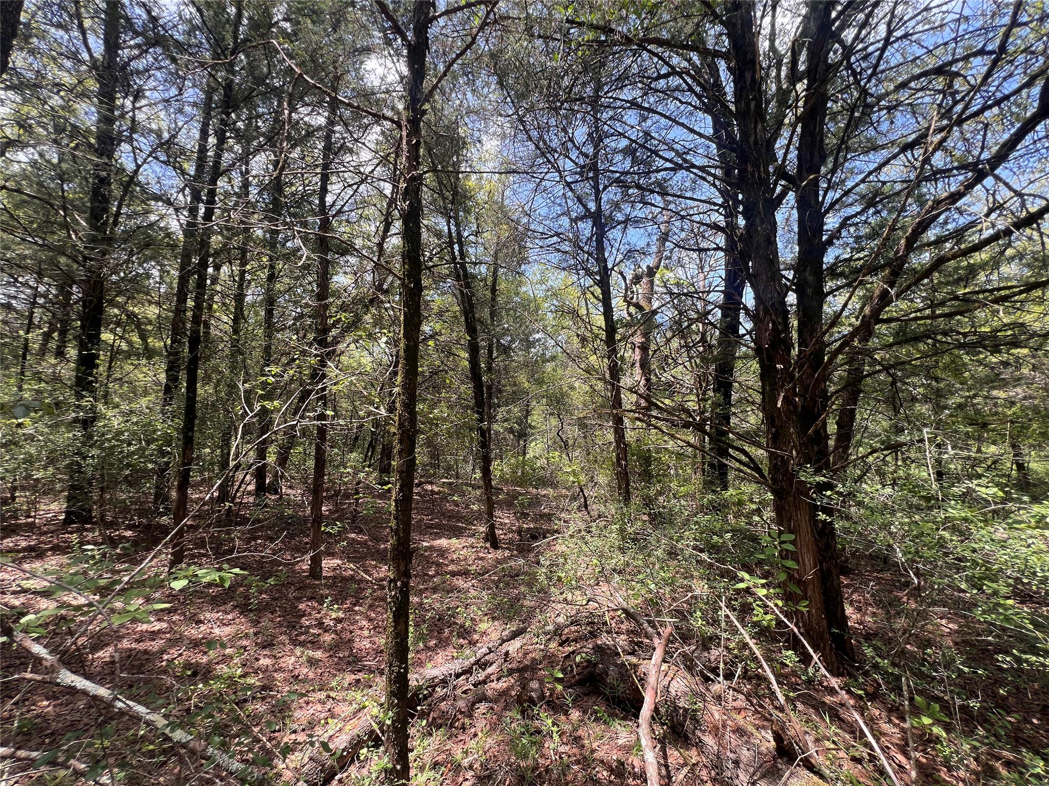 4.81 AC Pauline LN