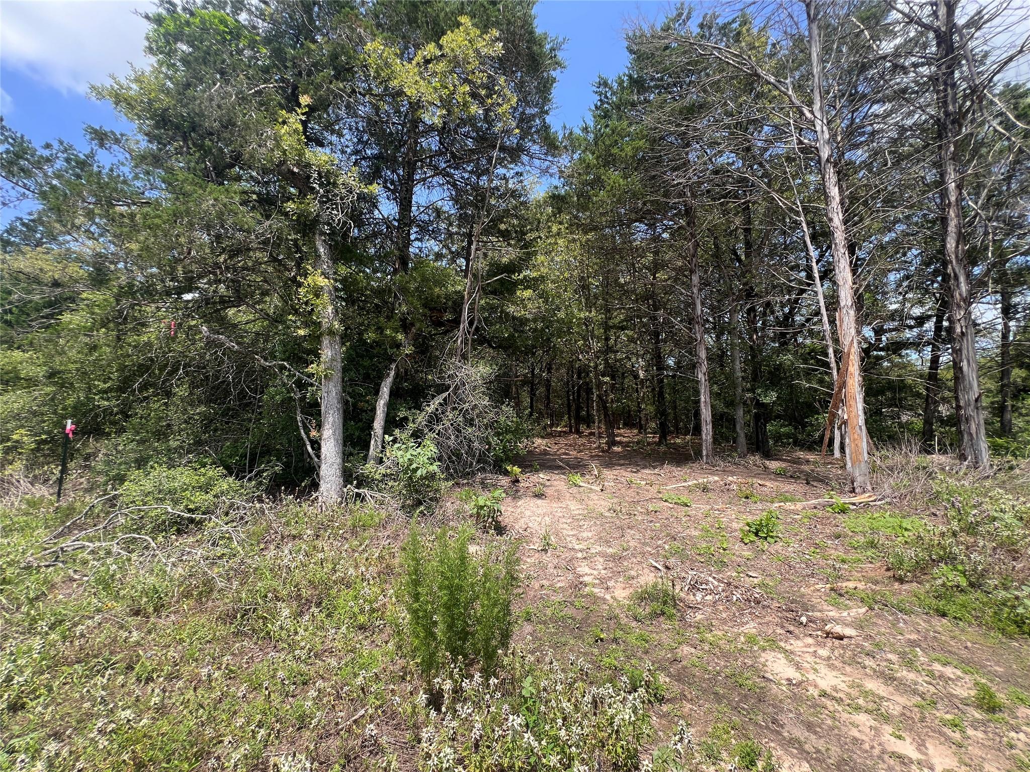 4.81 AC Pauline LN