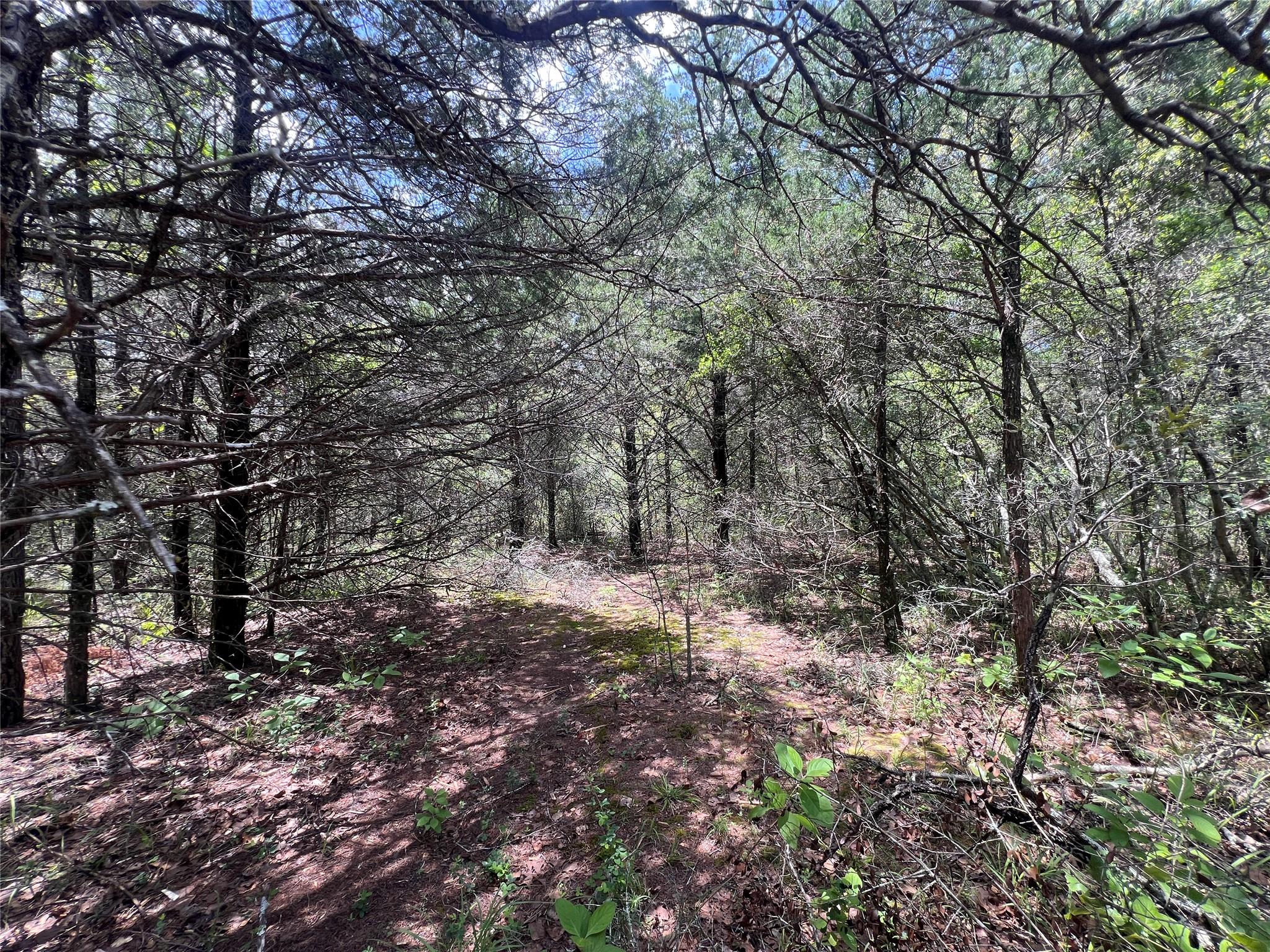 4.81 AC Pauline LN