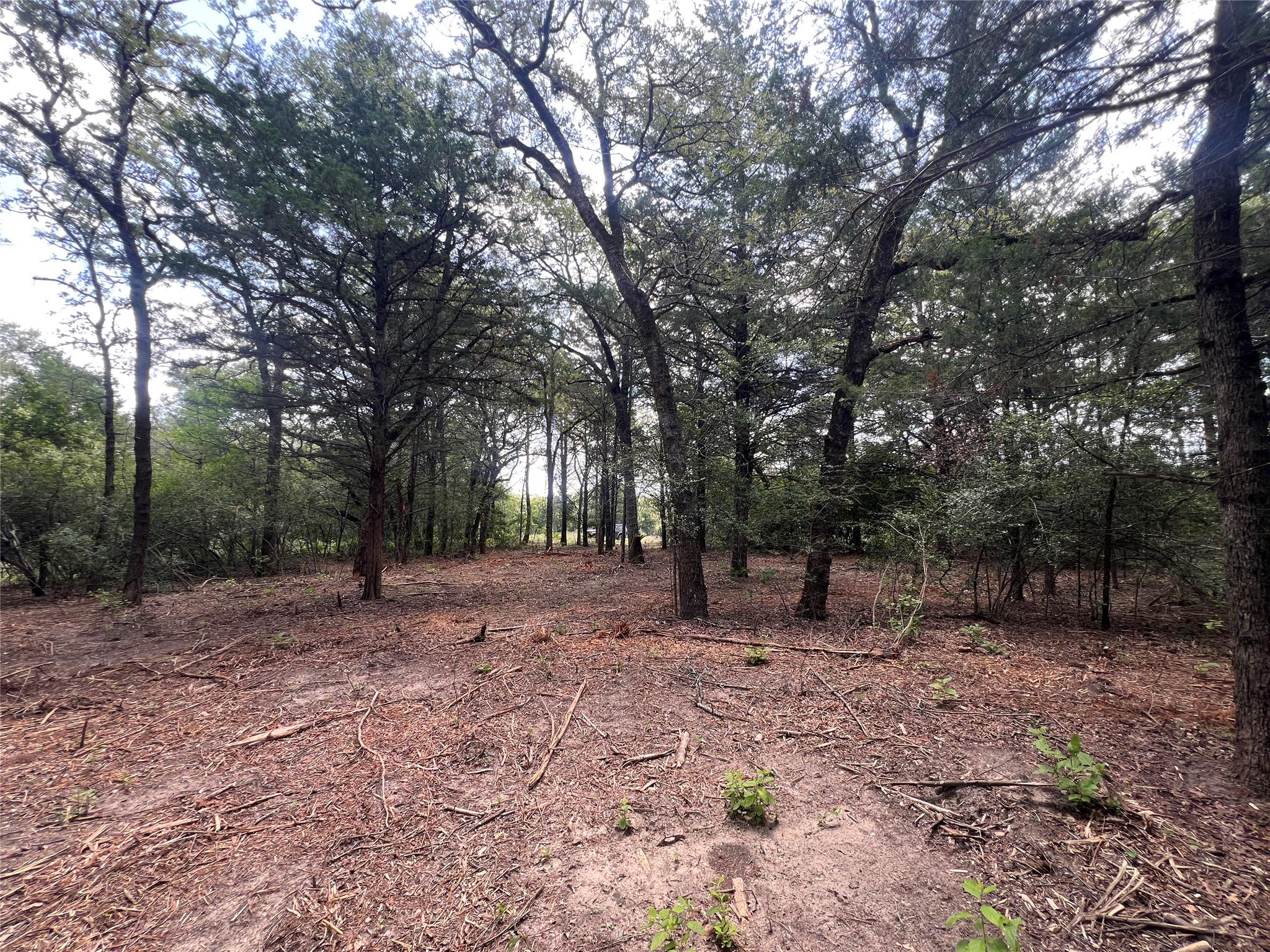 4.81 AC Pauline LN