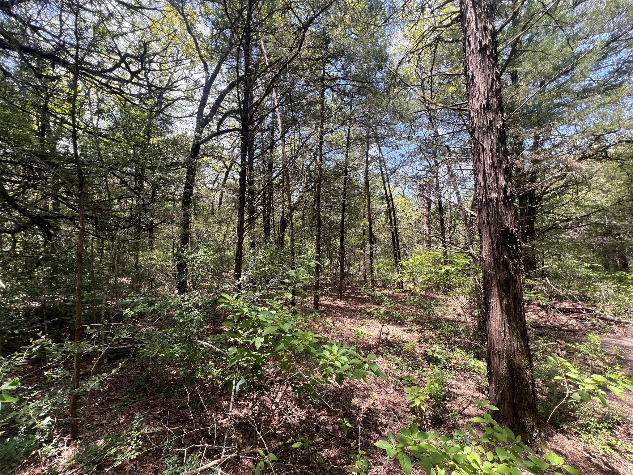 4.81 AC Pauline LN
