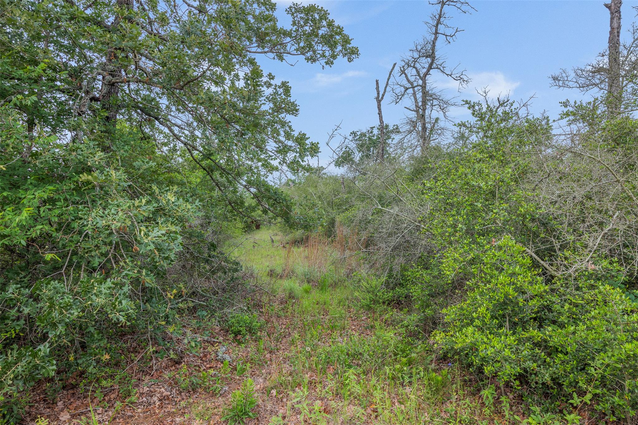 900 22 Hills RD