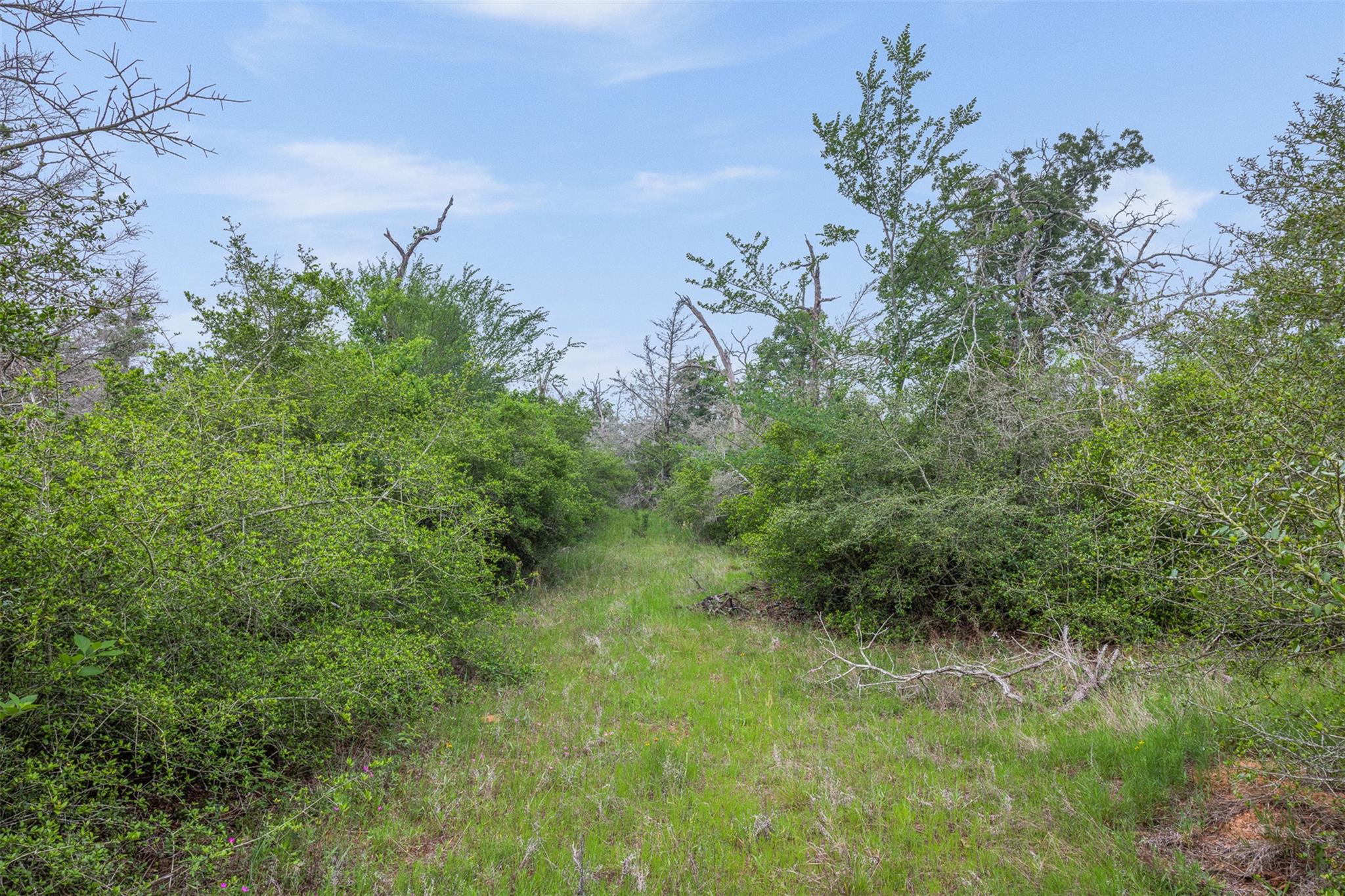 900 22 Hills RD