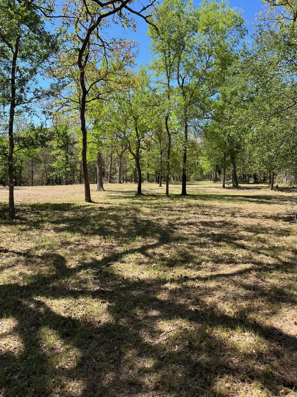 409 Bengals Bend