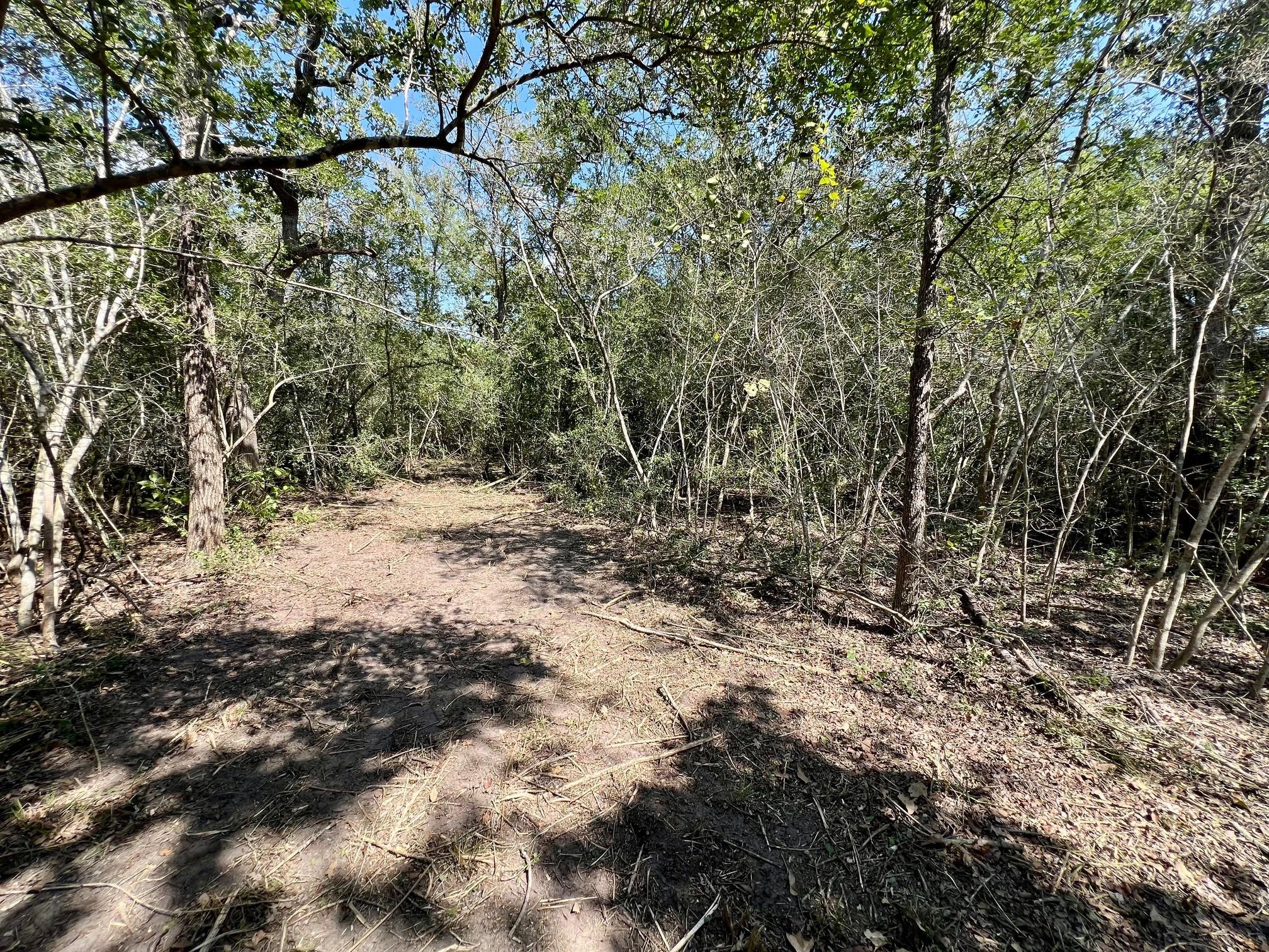 531 Moss Oak Drive