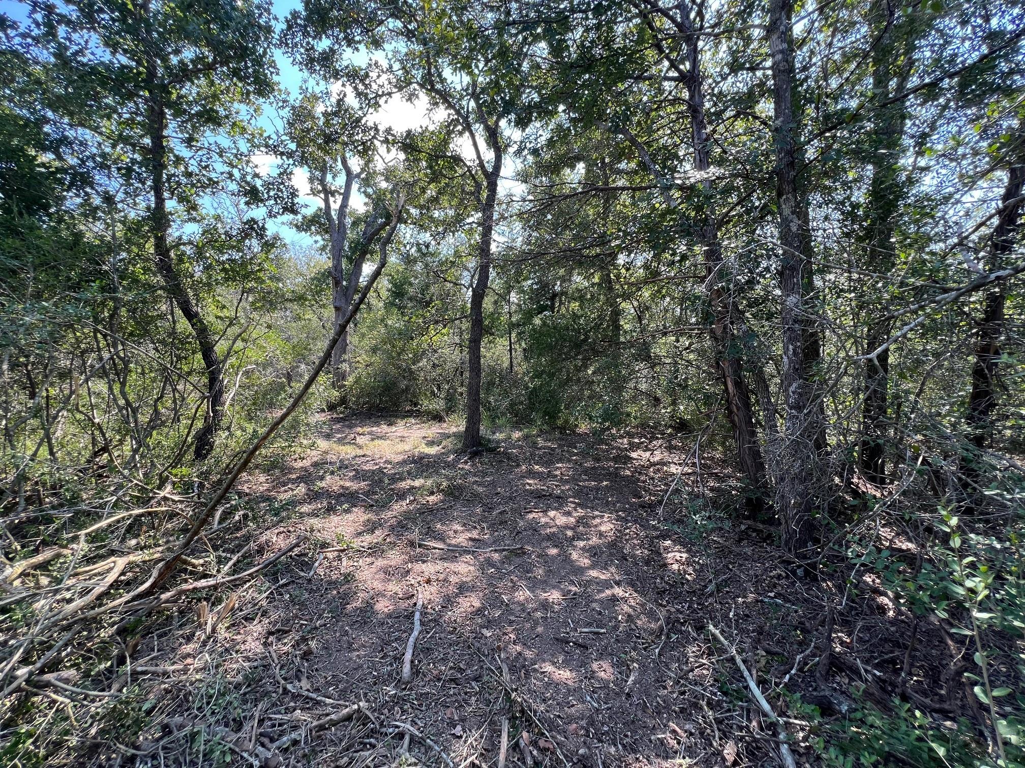 531 Moss Oak Drive