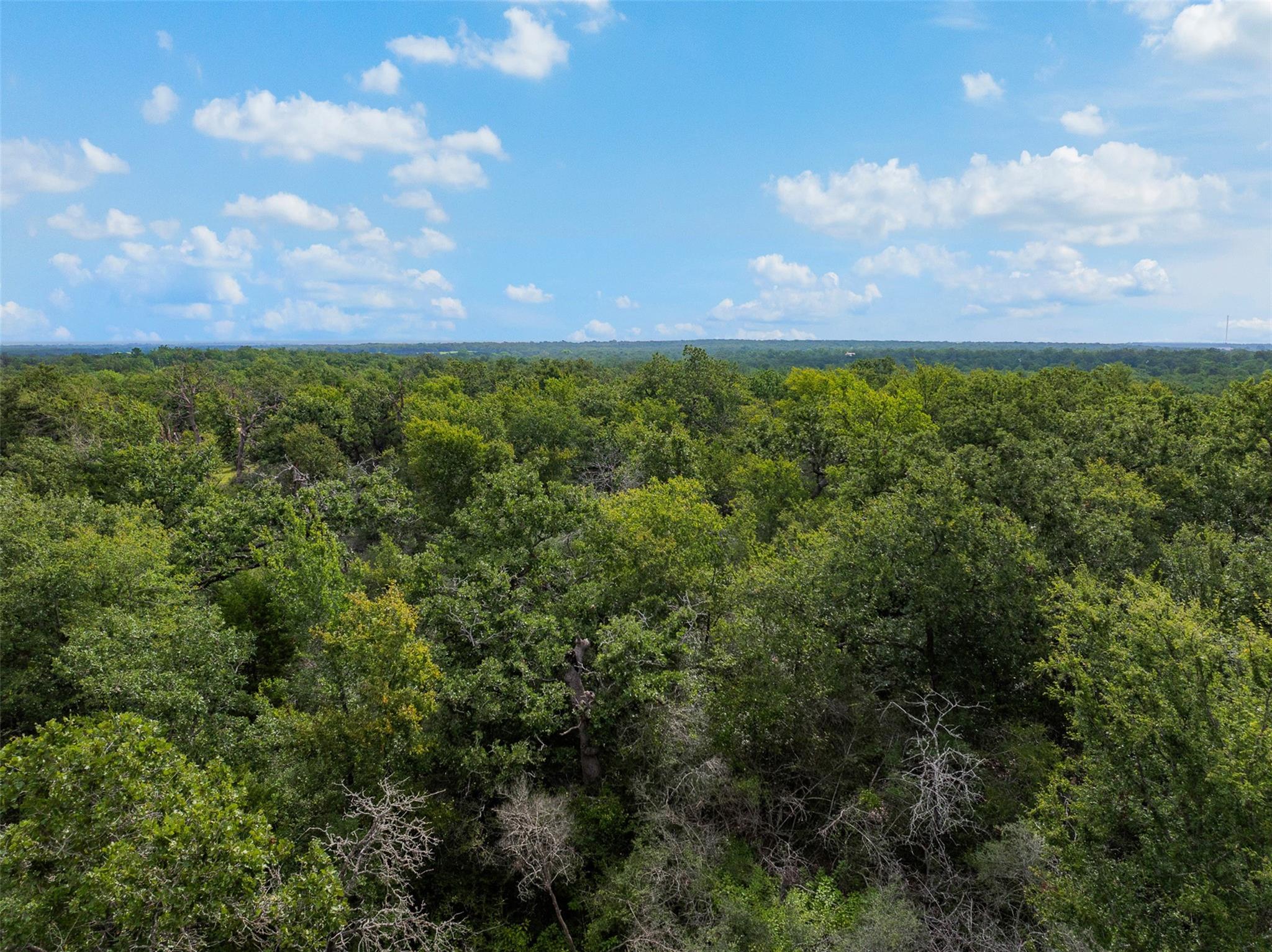 531 Moss Oak Drive