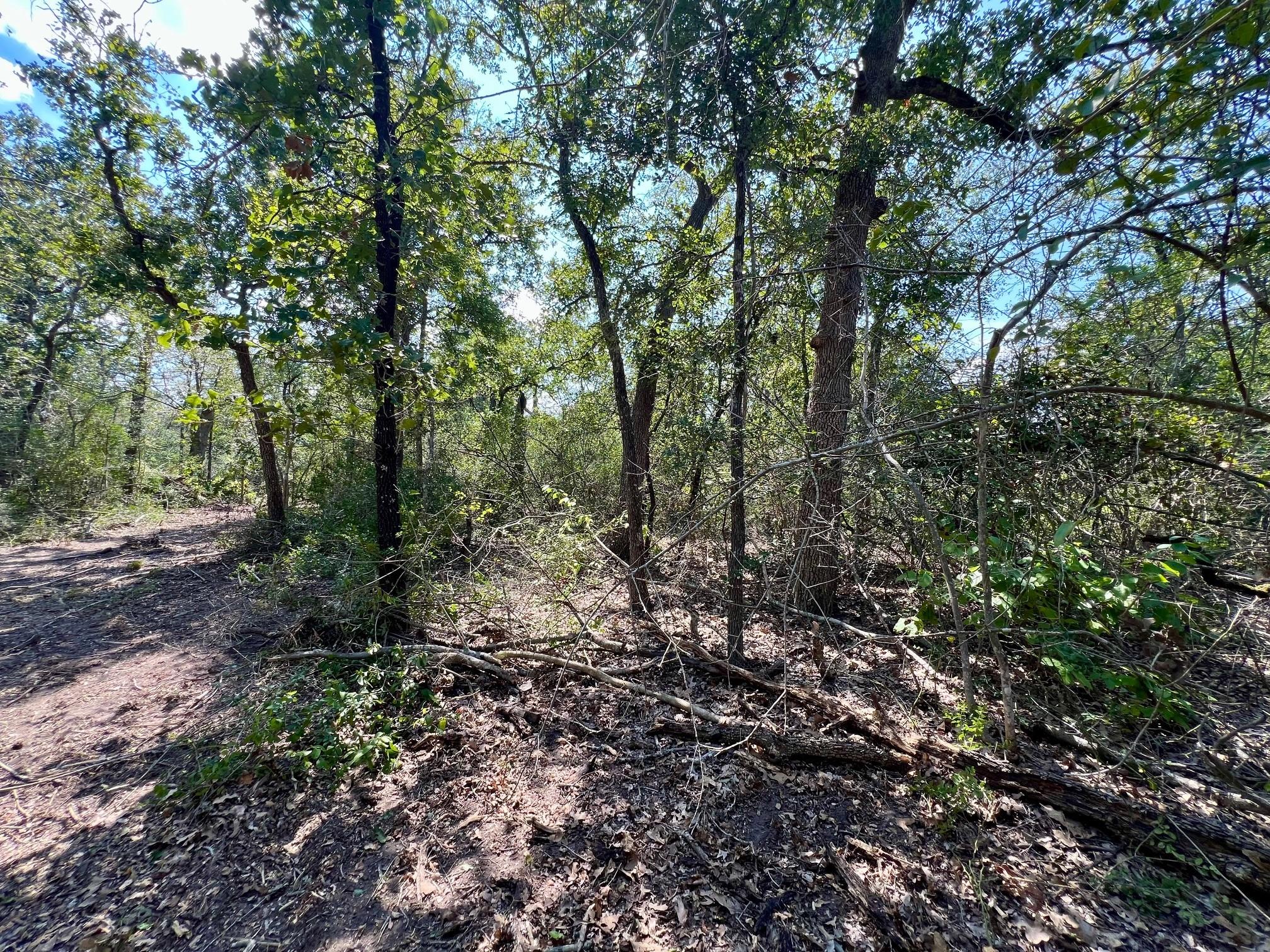 531 Moss Oak Drive
