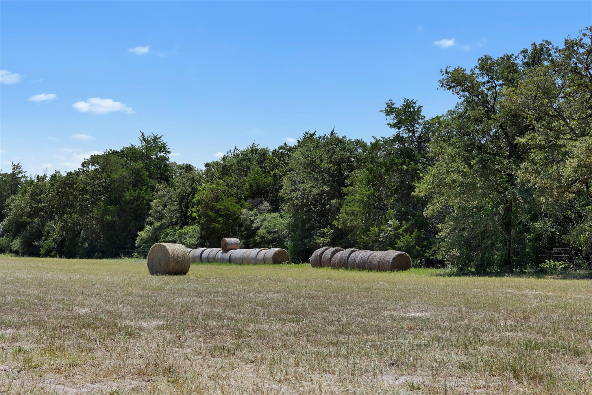 3023 County Road 326