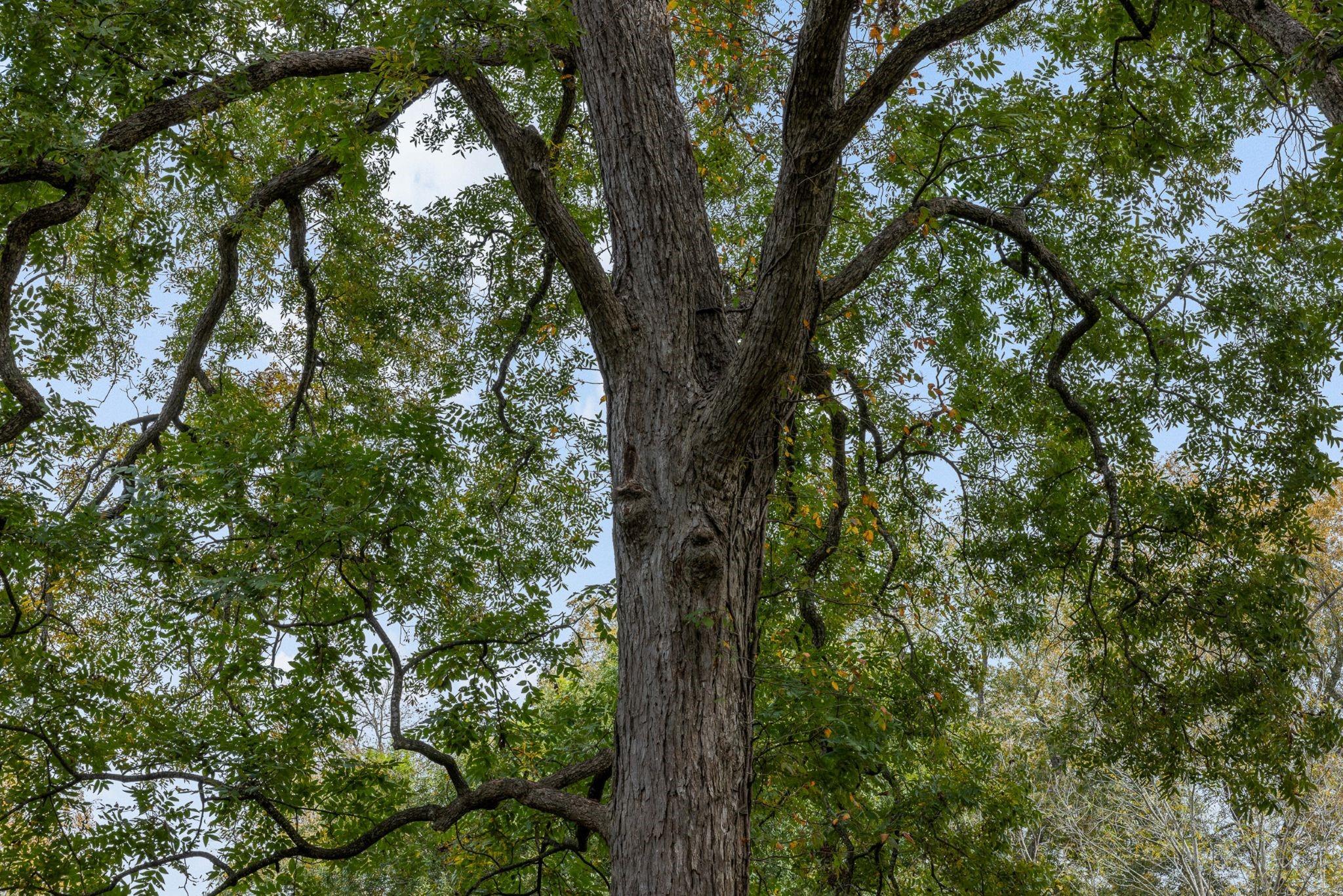 0000 Pleasant Hill Road