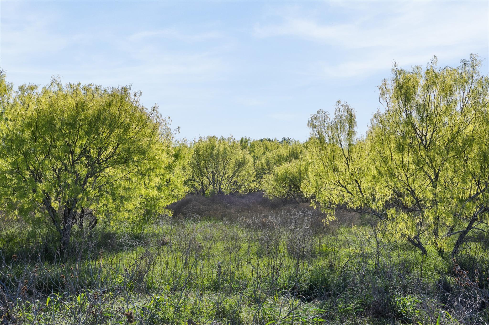 0000 County Road 414