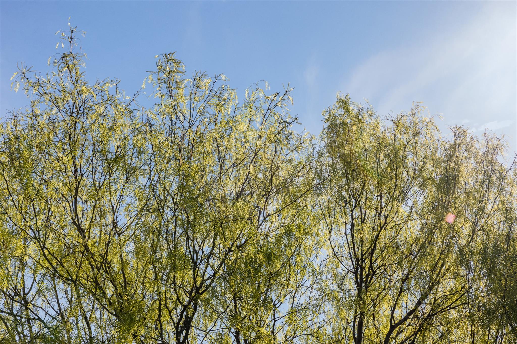 0000 County Road 414