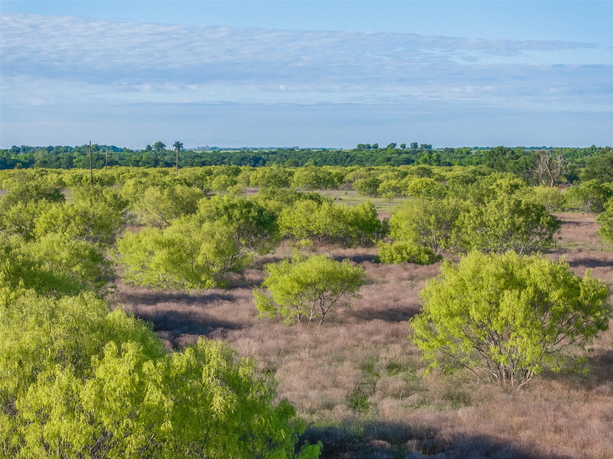 0000 County Road 414