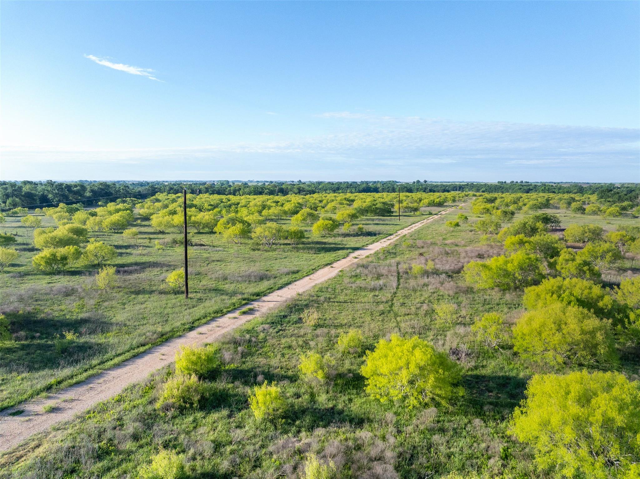 0000 County Road 414