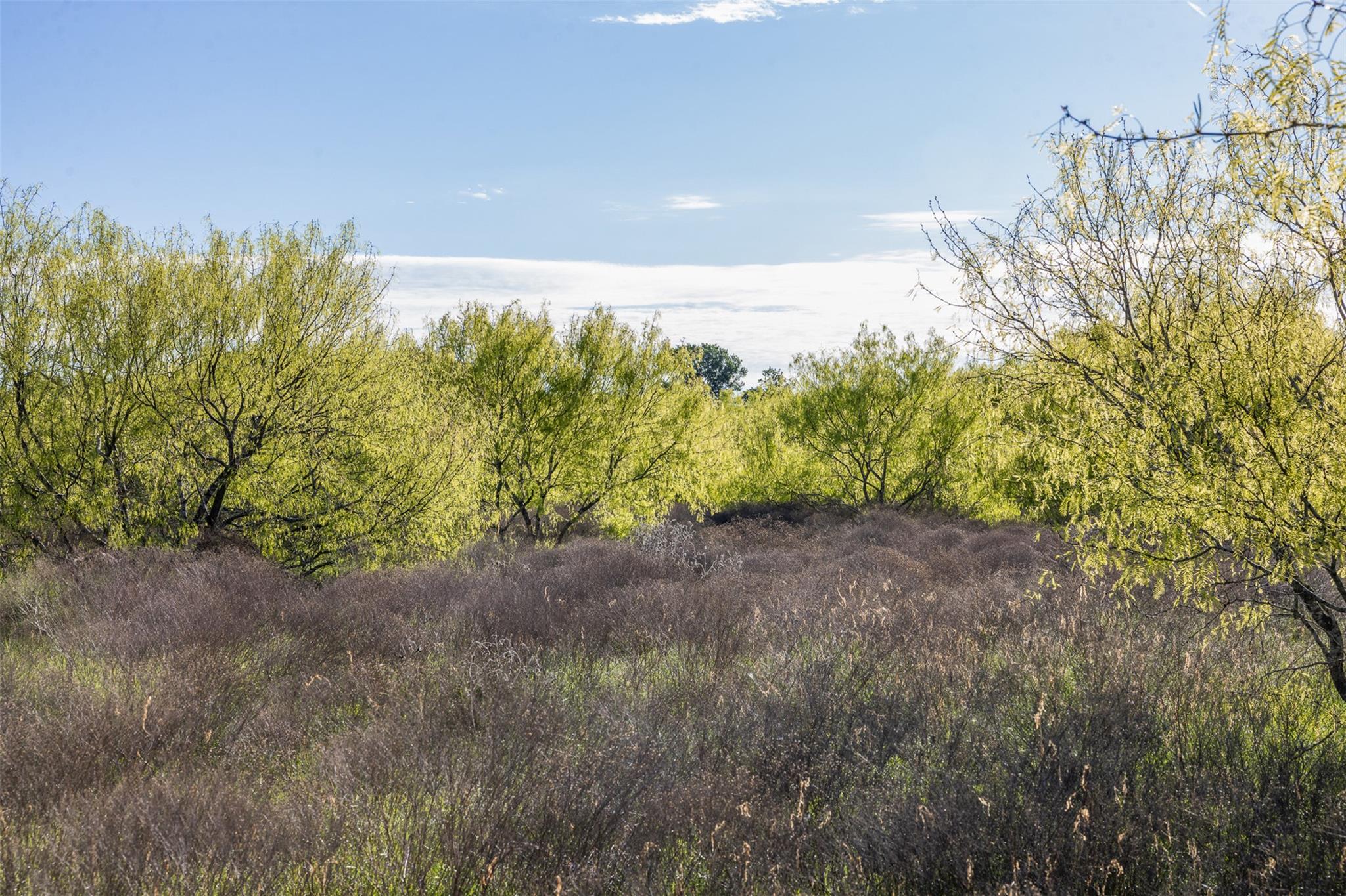 0000 County Road 414