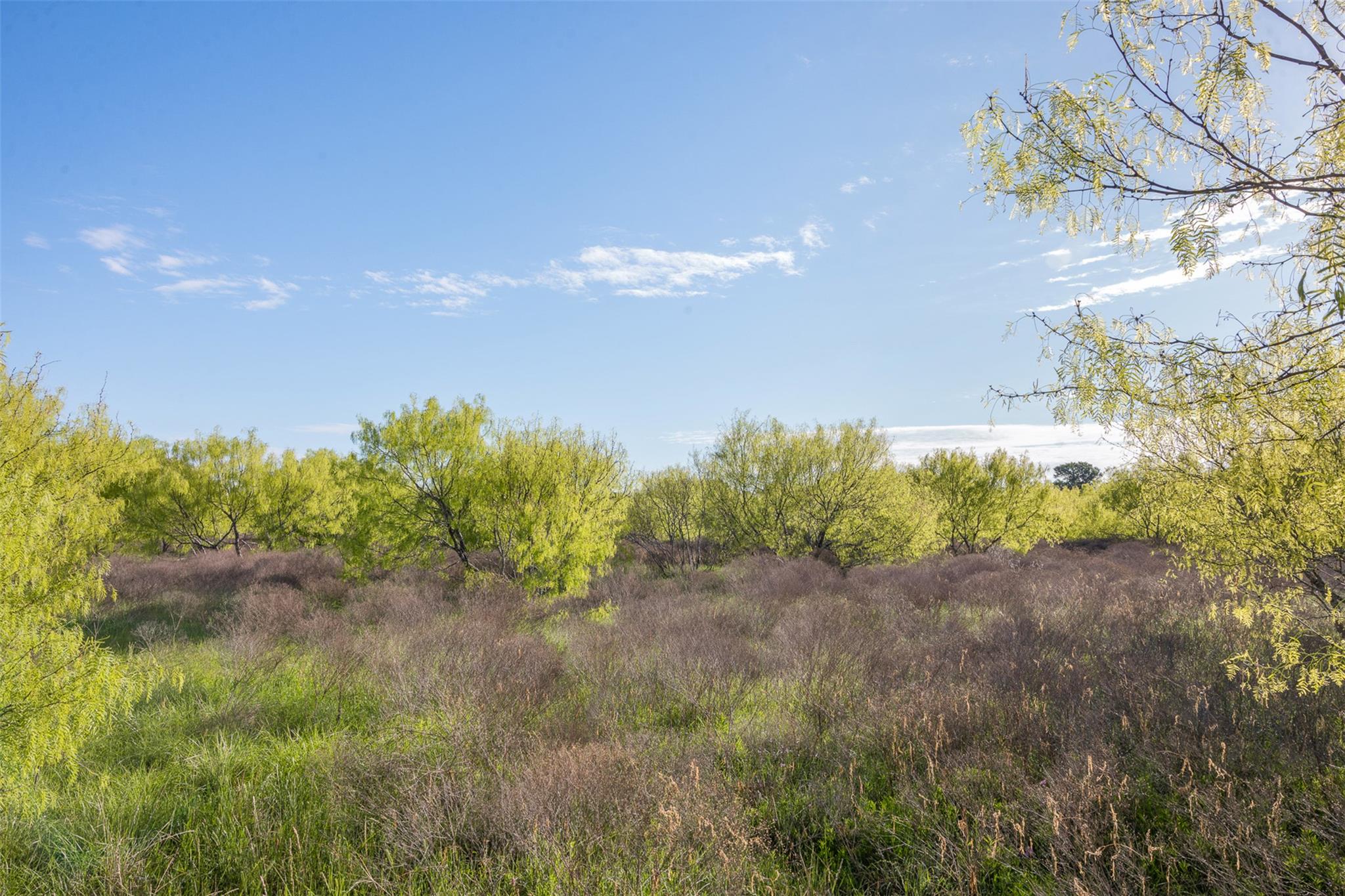 0000 County Road 414