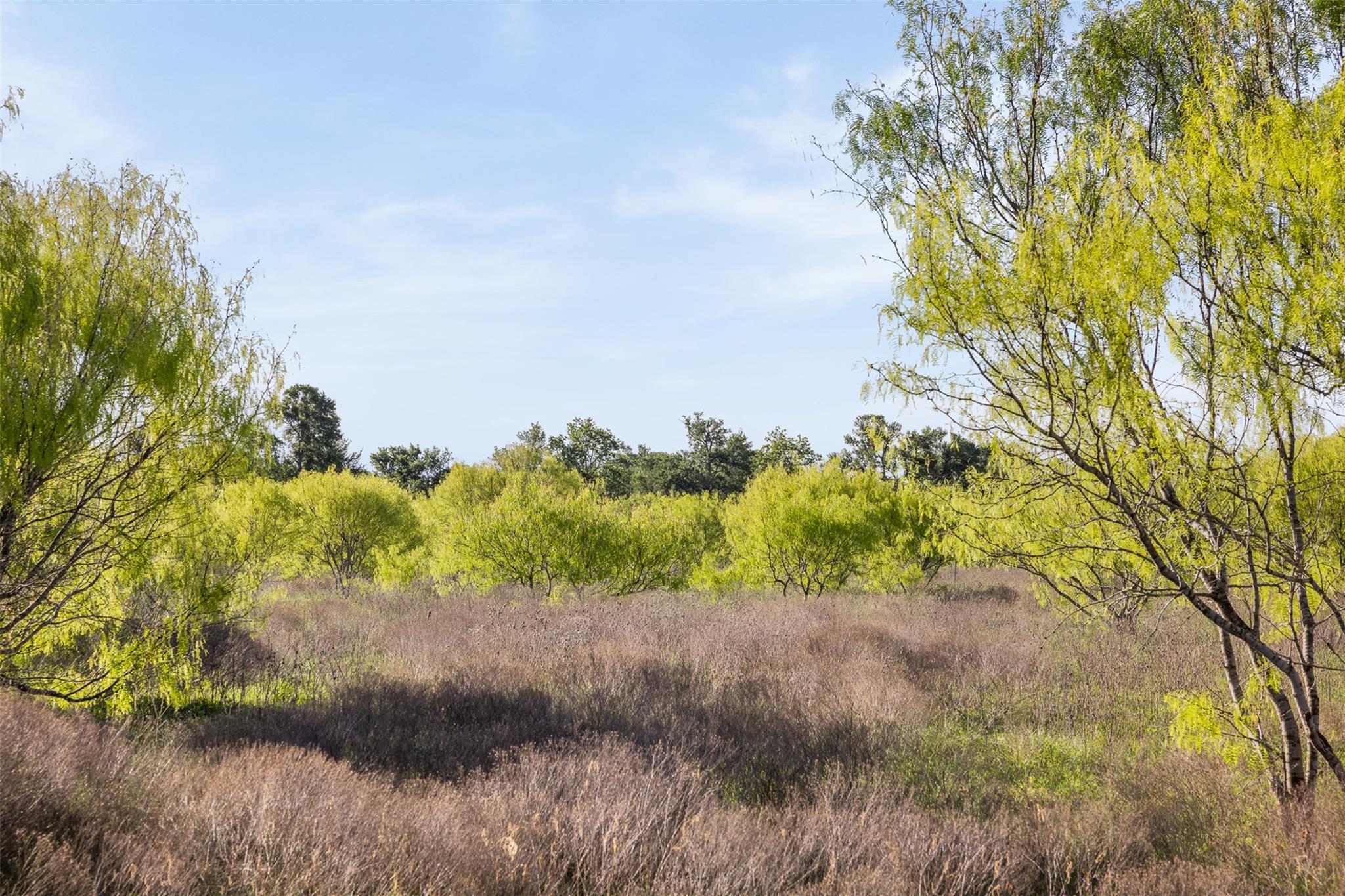 0000 County Road 414