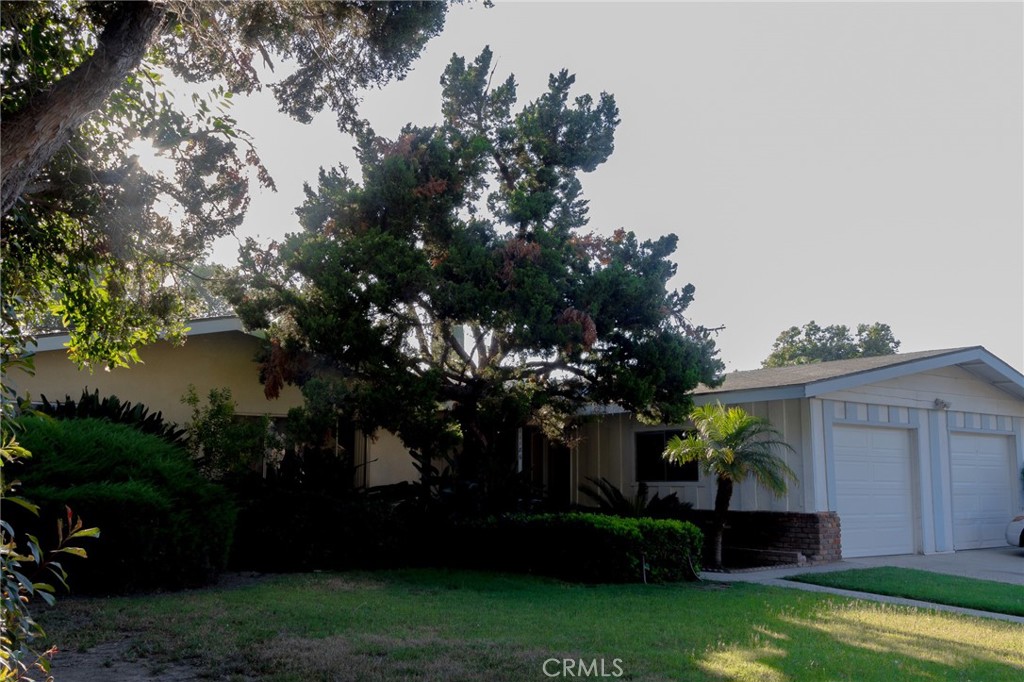 11186 Bellaire Street 2